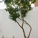 Lemon Tree 3* Torre Annunziata