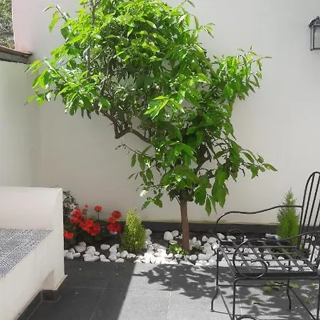 Bed and breakfast Lemon Tree Torre Annunziata