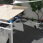 Lemon Tree