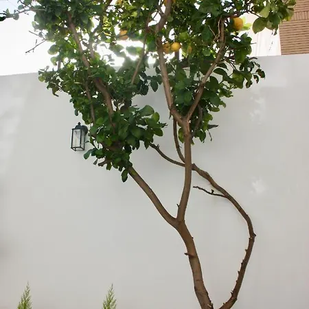 Lemon Tree 4* Torre Annunziata