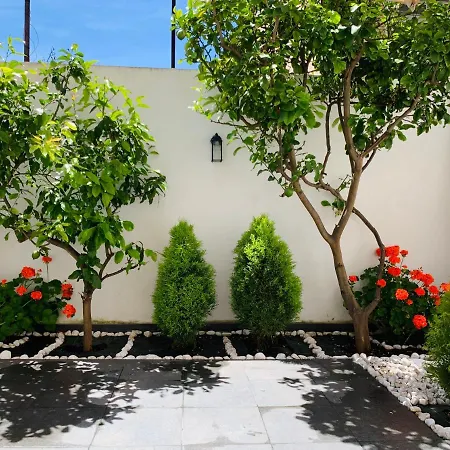 Lemon Tree 3*