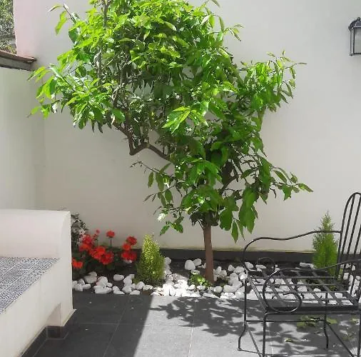 Couette-café Lemon Tree Torre Annunziata